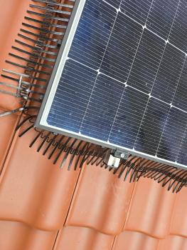 Preview: Vogelschutz - Taubenschutz