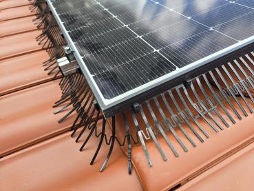 Vogelschutz - Taubenschutz